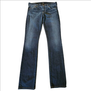 Citizens Of Humanity Ava Low-Rise Straight Leg Dark Wash Jeans Size 28